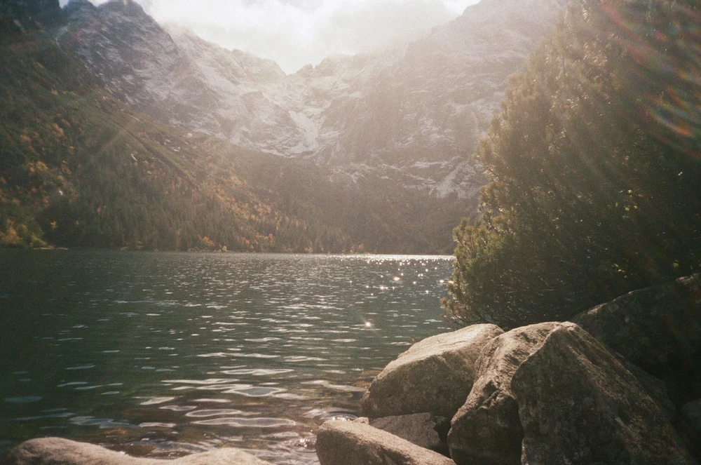 Image uploaded by Liza