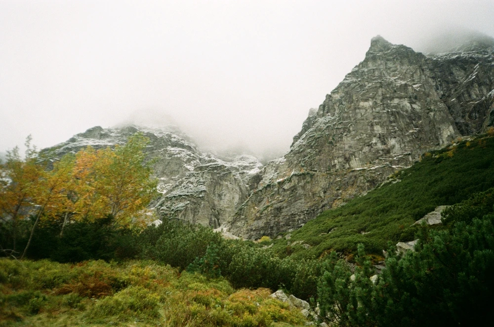 Image uploaded by Liza