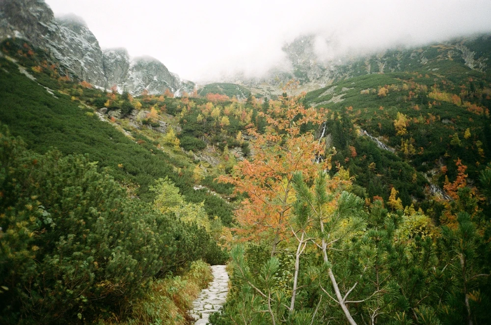 Image uploaded by Liza