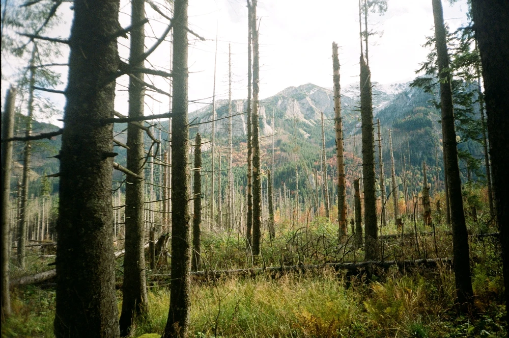 Image uploaded by Liza