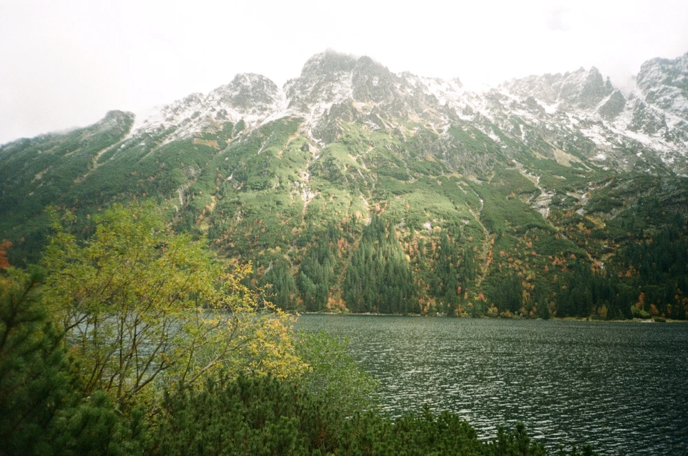 Image uploaded by Liza