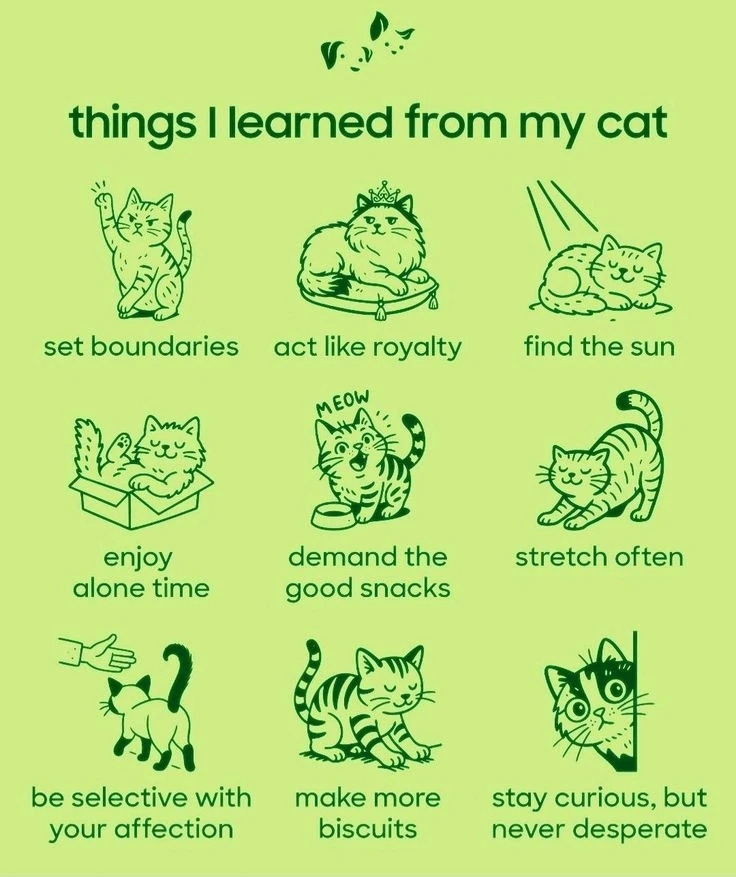 Image uploaded by Aida