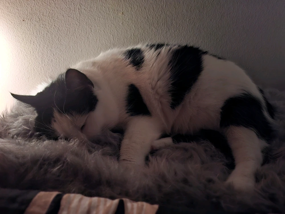 Image uploaded by Aida