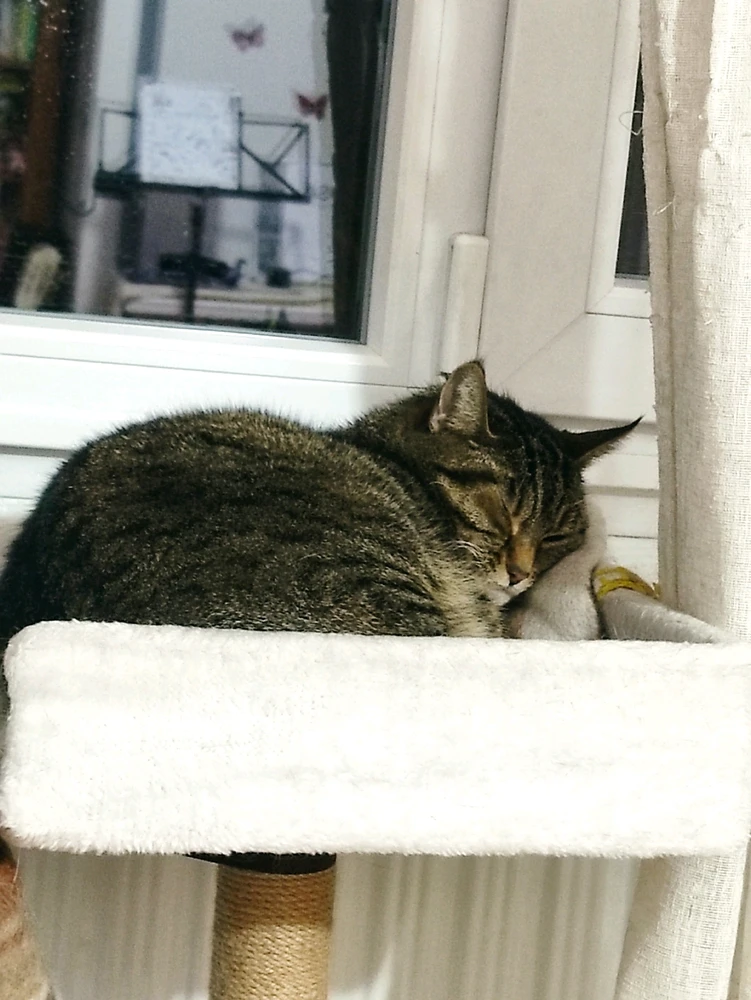 GIF uploaded by Nathalie