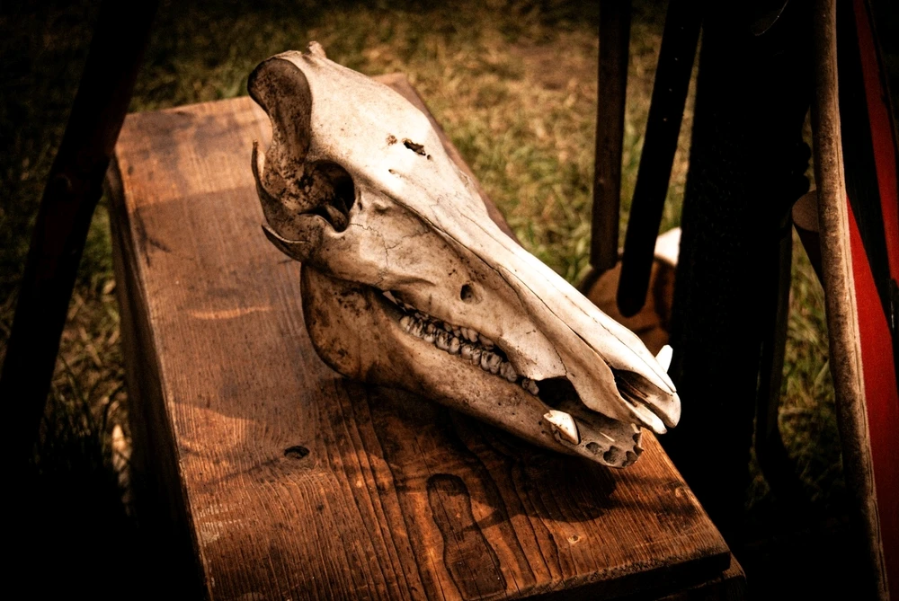 Bild hochgeladen von Goran