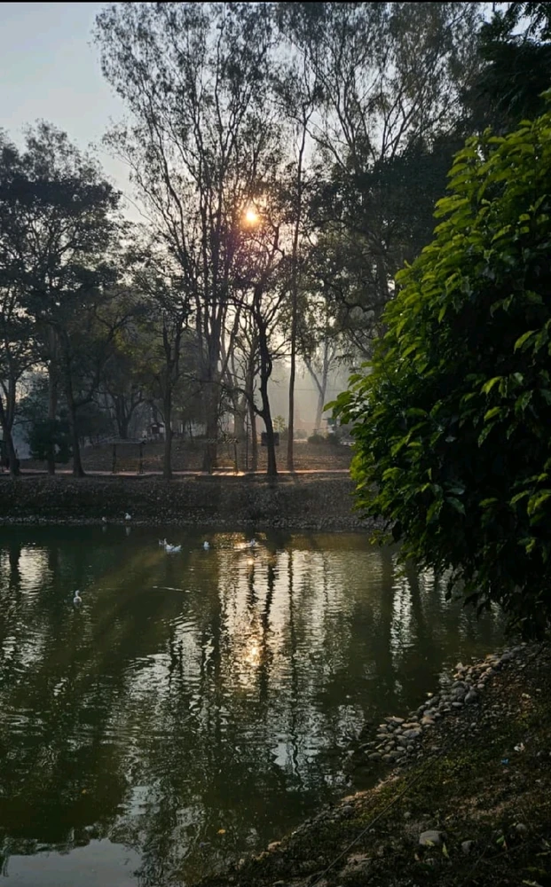 GIF uploaded by Abhay