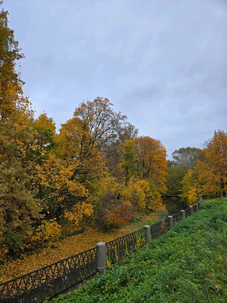 Image uploaded by Ruslan