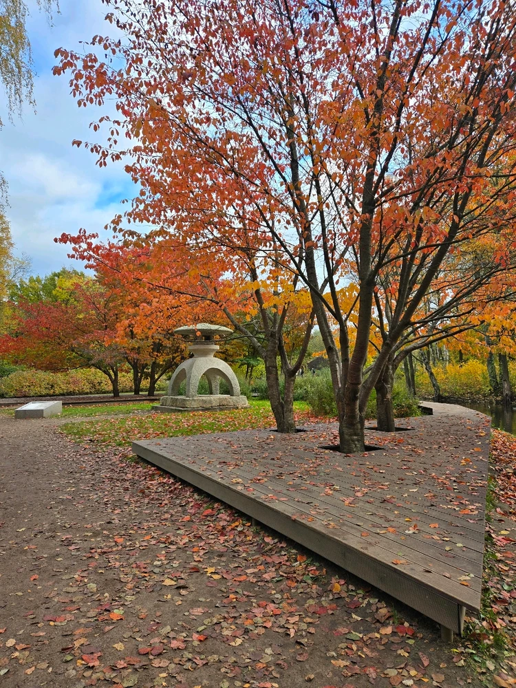 Image uploaded by Ruslan