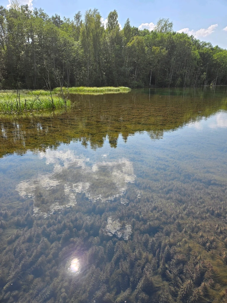 Image uploaded by Ruslan