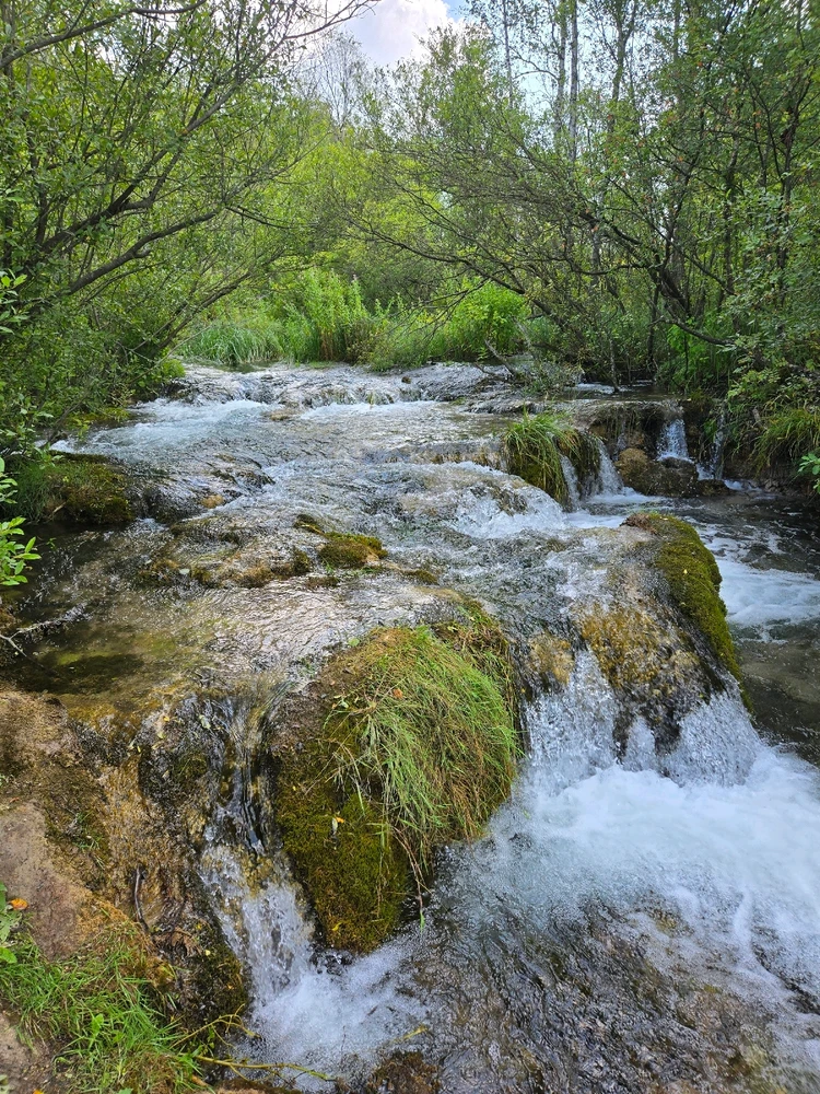 Image uploaded by Ruslan