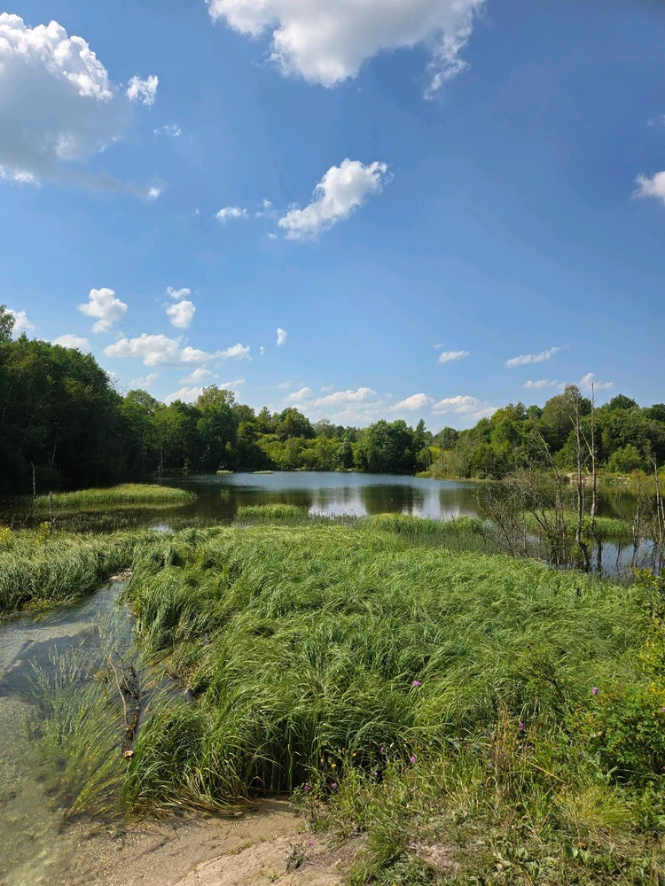 Image uploaded by Ruslan