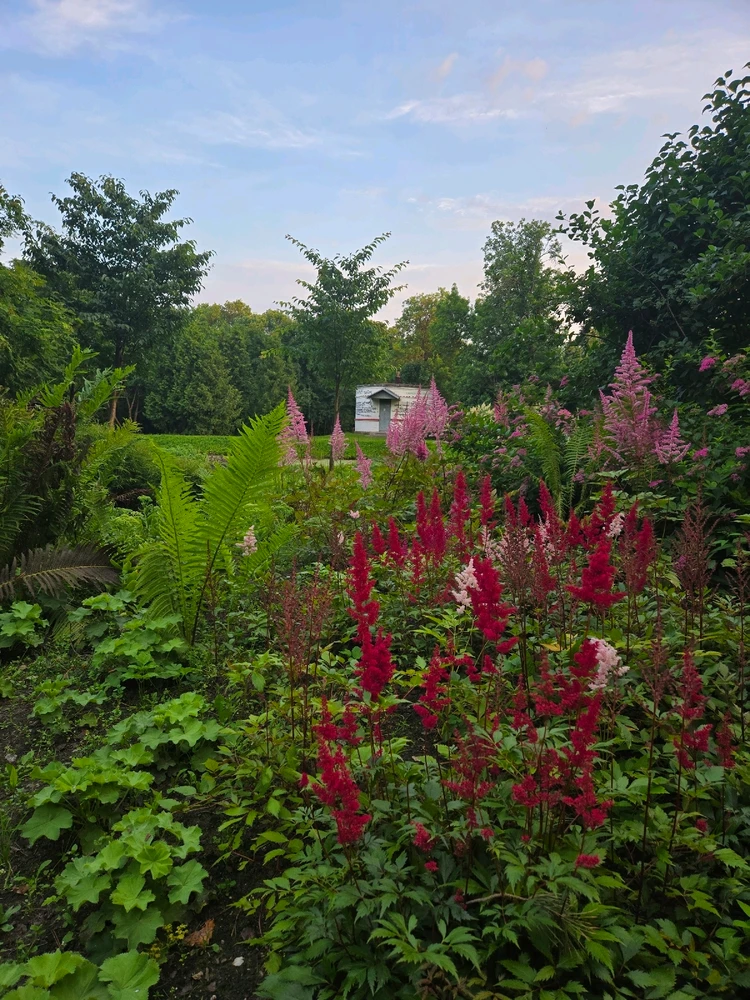 Image uploaded by Ruslan