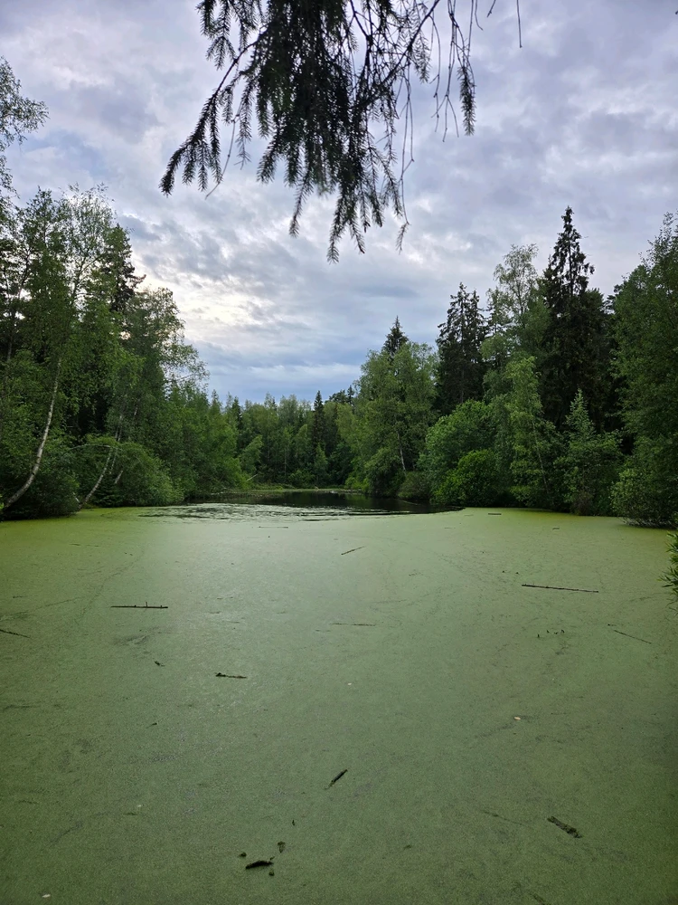 Image uploaded by Ruslan