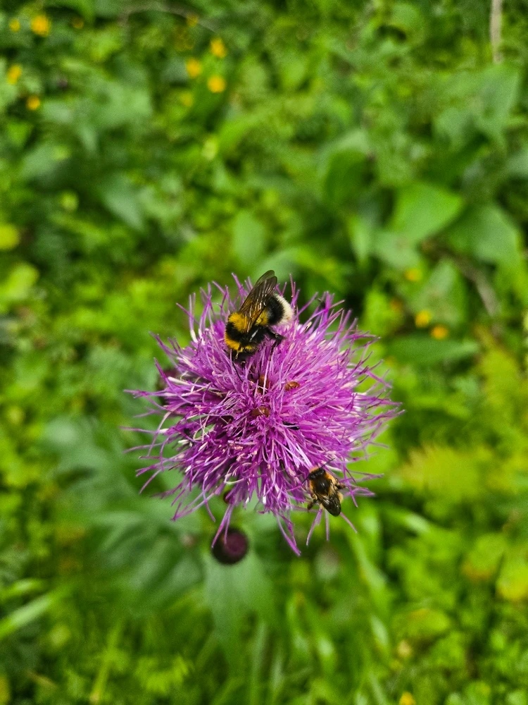 Image uploaded by Ruslan