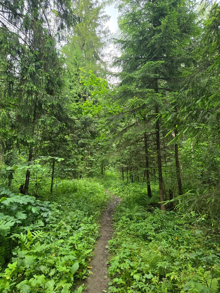 Image uploaded by Ruslan