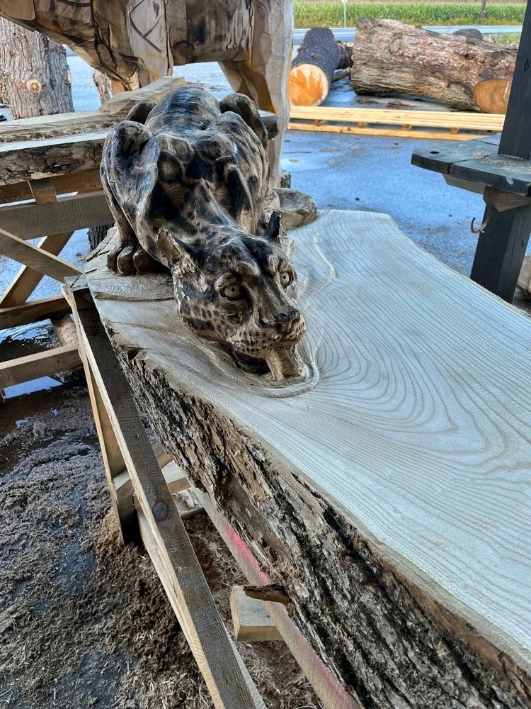 Image ajoutée par Stef