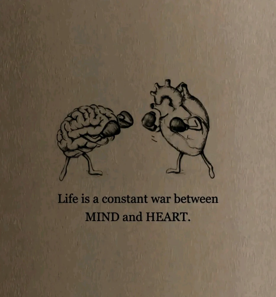 GIF uploaded by Maggie