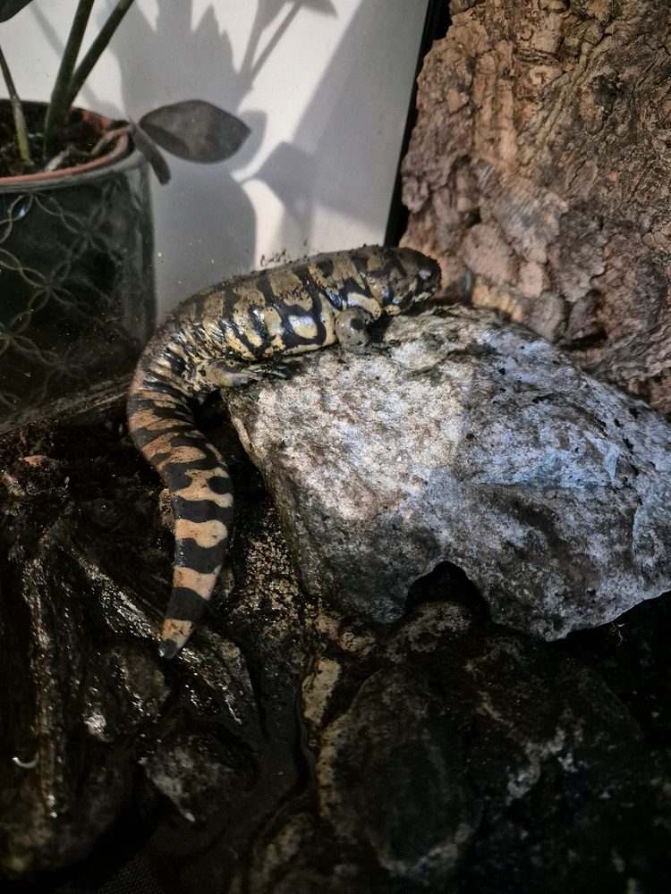 GIF dodany przez Paula