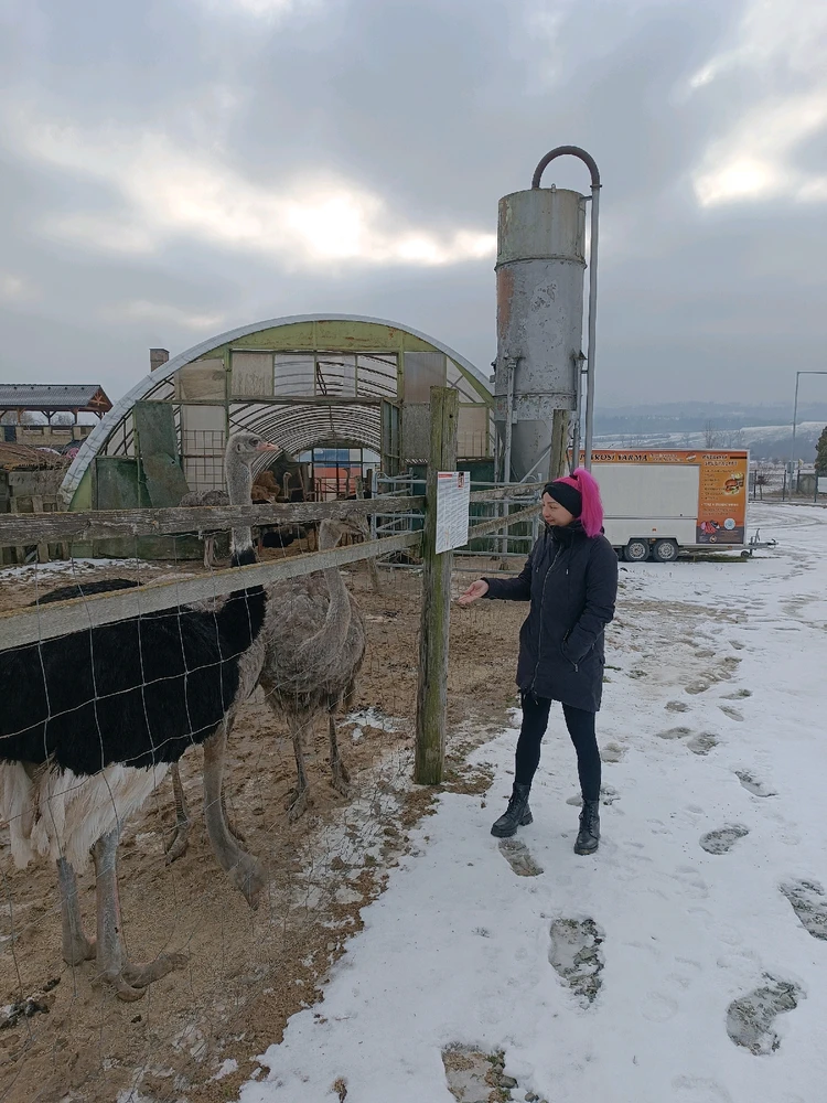 Obrázek nahrál Mája