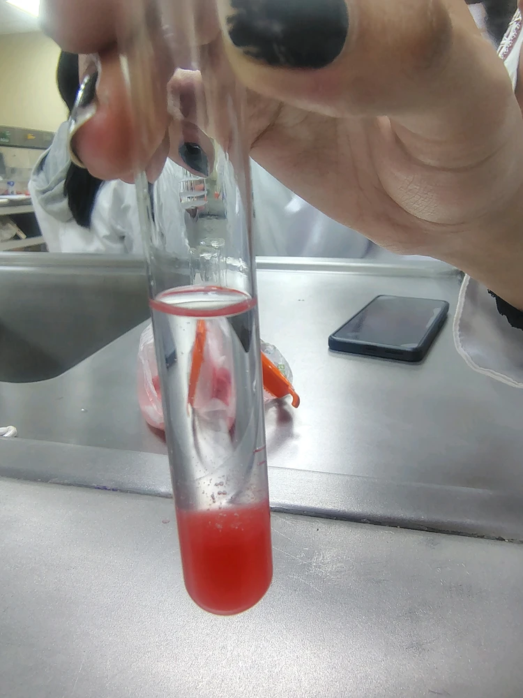 Imagen subida por Valee