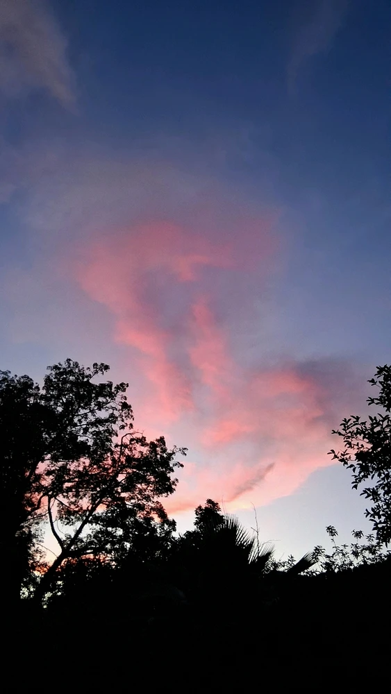 GIF uploaded by Crissy