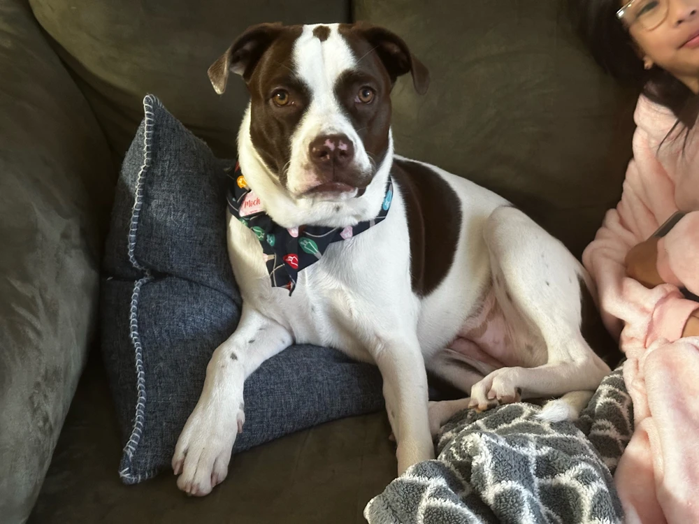 GIF uploaded by Rebekah