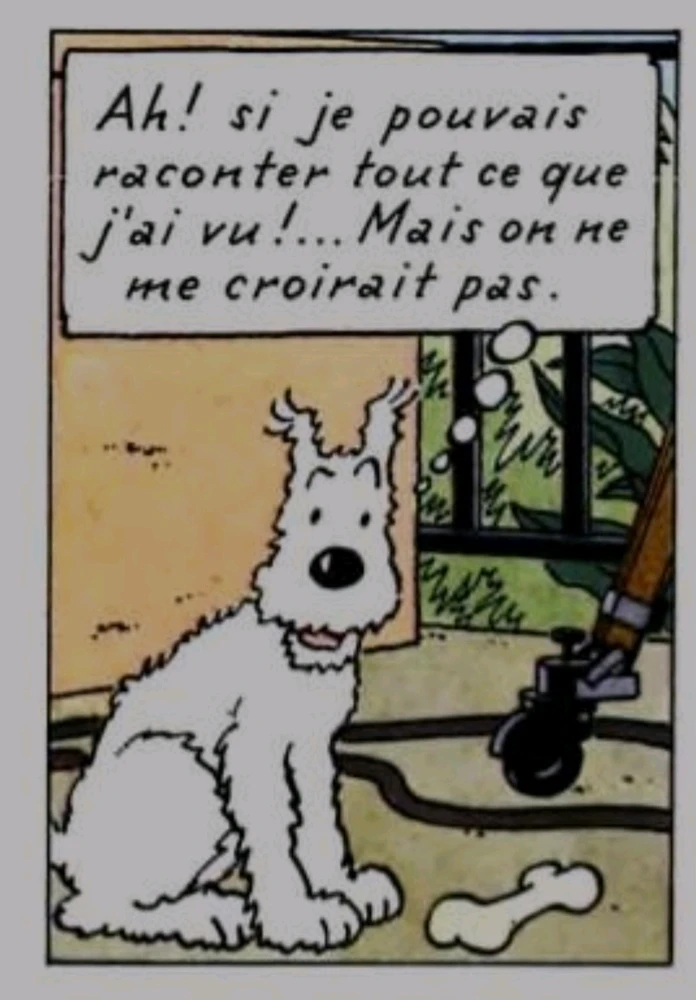 GIF ajouté par SARAZINZIN