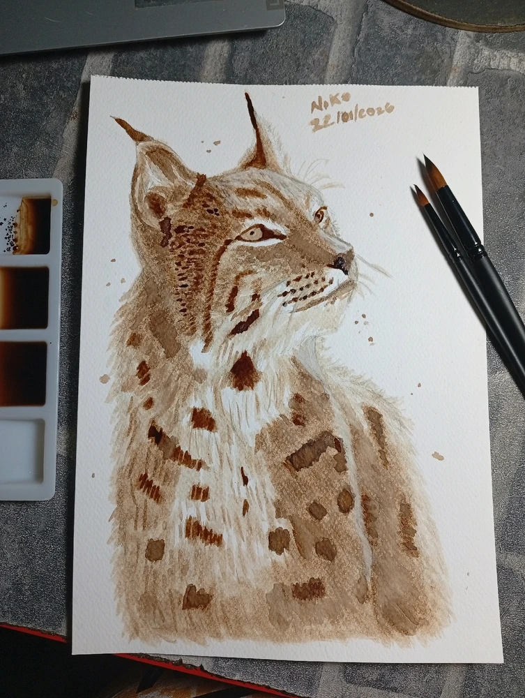 GIF subido por Nicolás