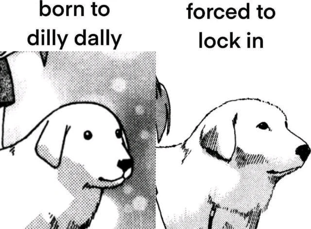 GIF uploaded by Sabreena