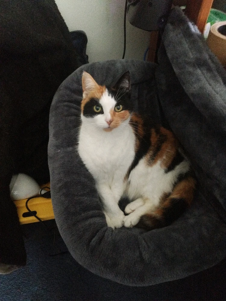 Image uploaded by Zach