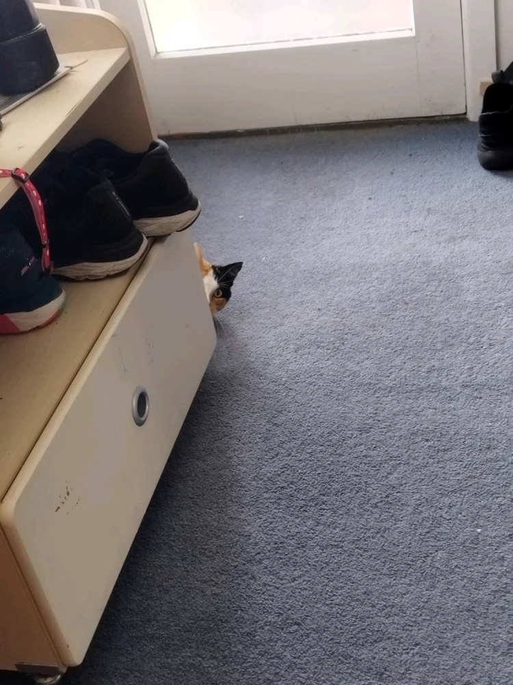 Image uploaded by Zach