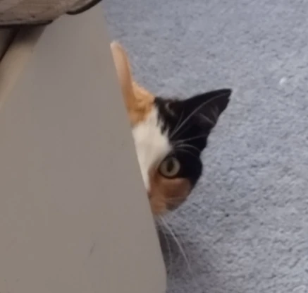 Image uploaded by Zach