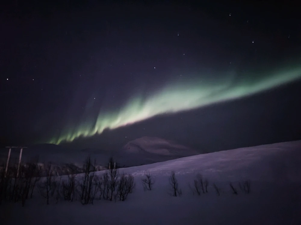 Gambar diunggah dening Piotr