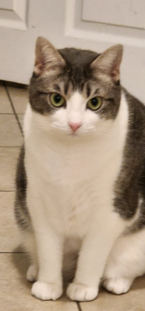 GIF uploaded by Ŕąfet