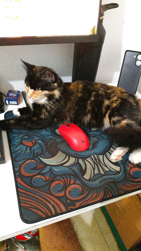 GIF enviado por Jeferson Vieira