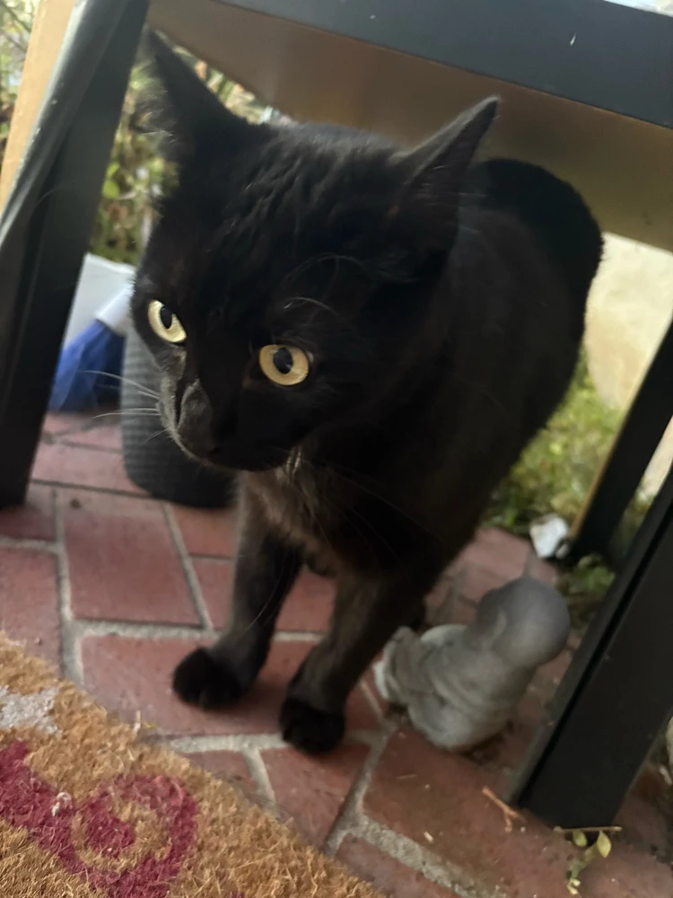 GIF uploaded by Shelby