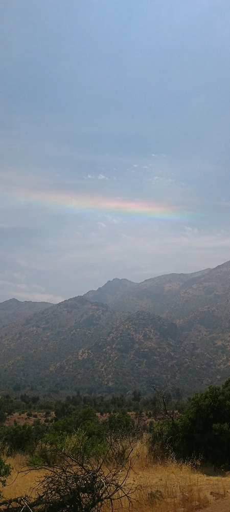 GIF subido por Simon