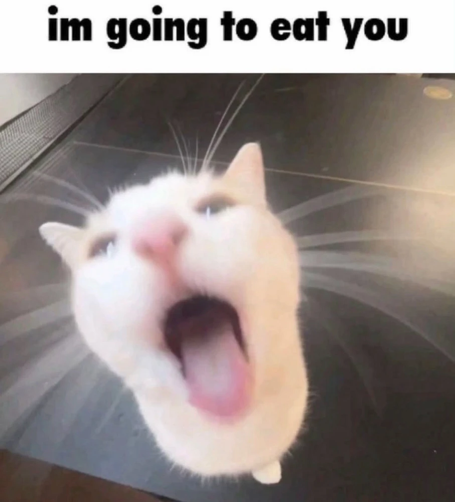 GIF uploaded by Chris