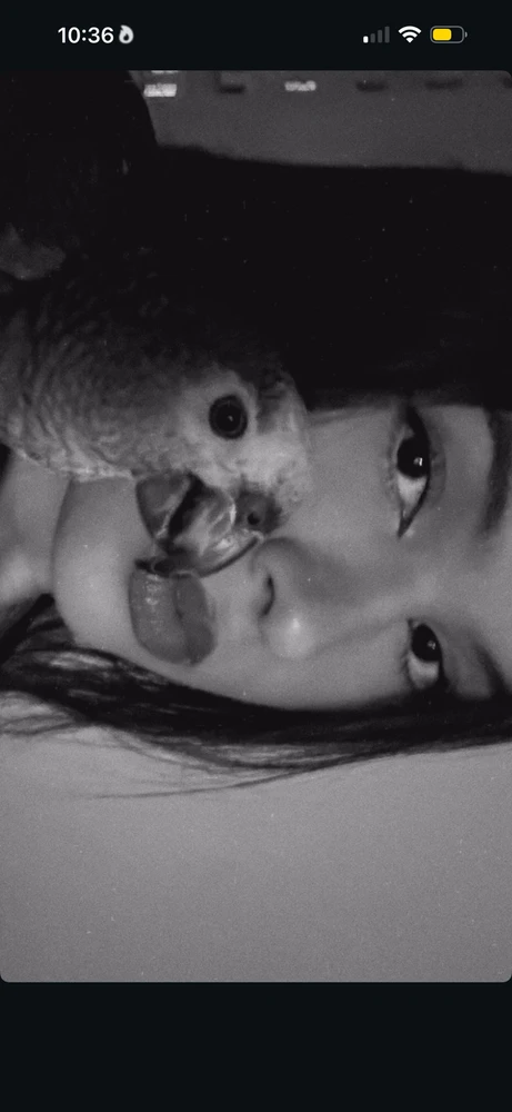 GIF enviado por Marcella Duarte