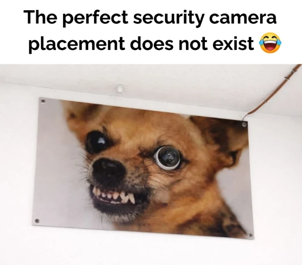 GIF uploaded by WVWVANA