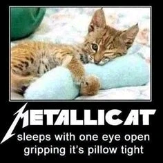 GIF uploaded by DezzieDee