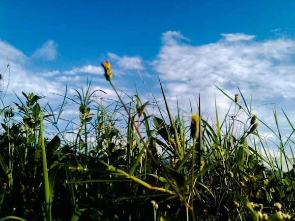 GIF uploaded by Melt