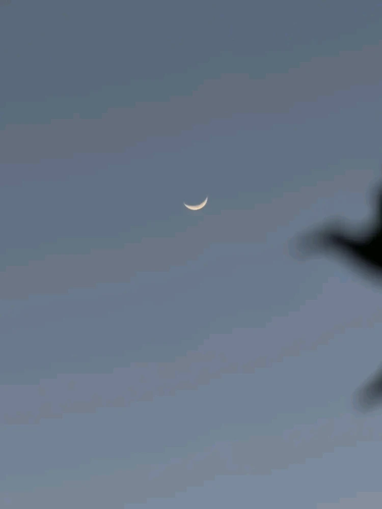 GIF uploaded by ❤ Sophia aka Mango Mami ❤️