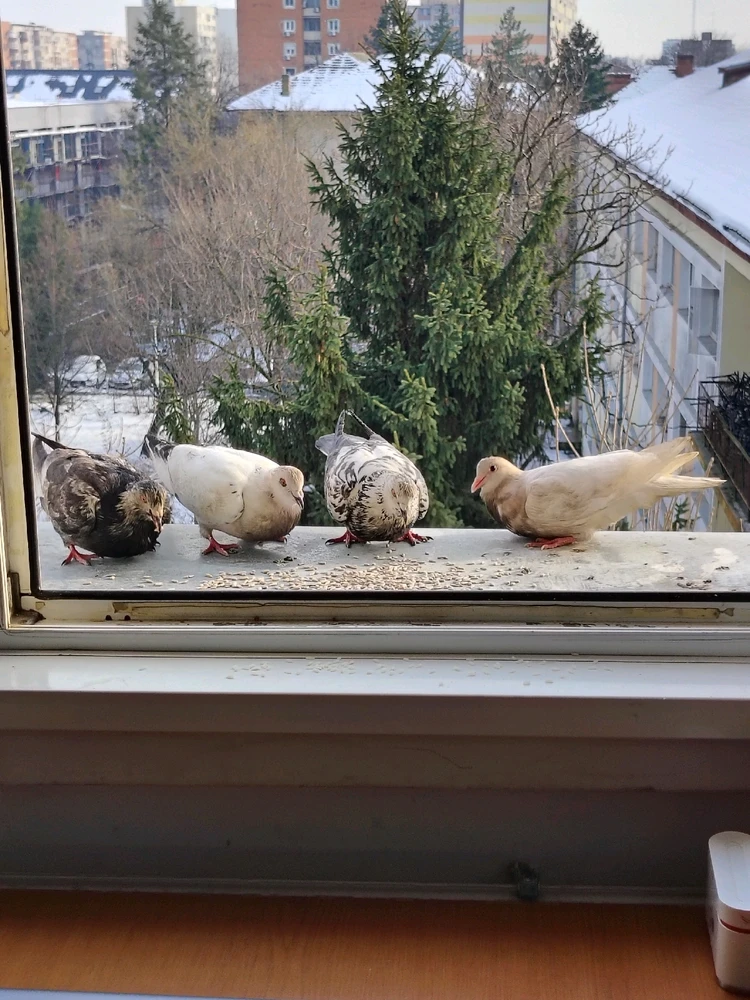 GIF uploaded by Cata