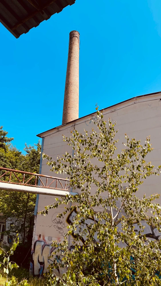 Bild hochgeladen von Nicolas