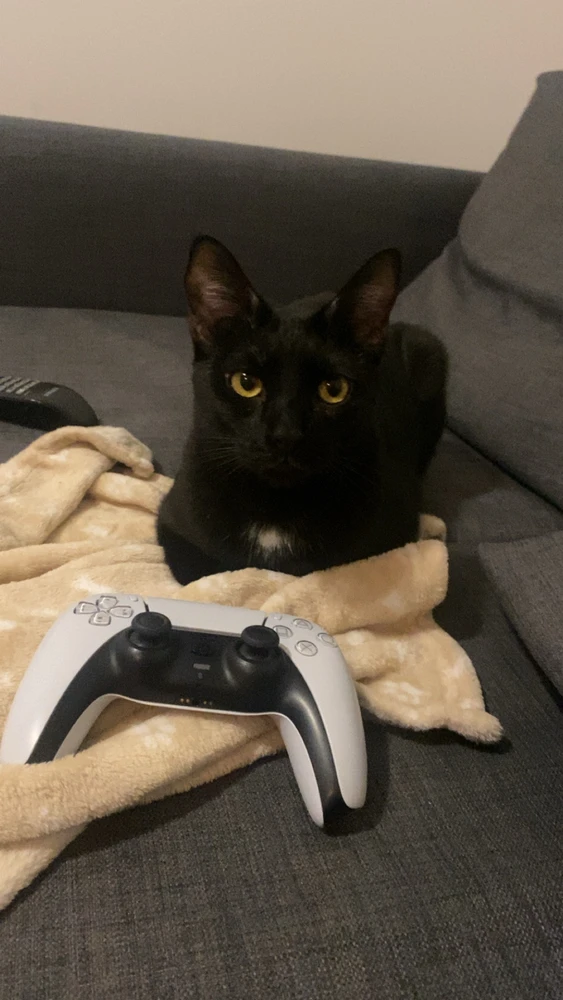 GIF uploaded by Paula