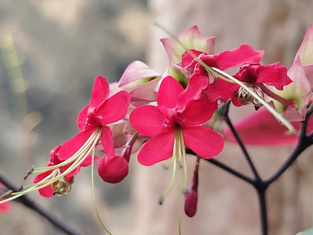 GIF uploaded by sebastian