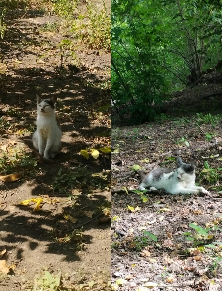 Image uploaded by Karina