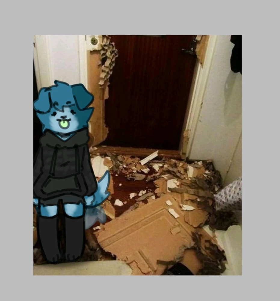 Image uploaded by Alex