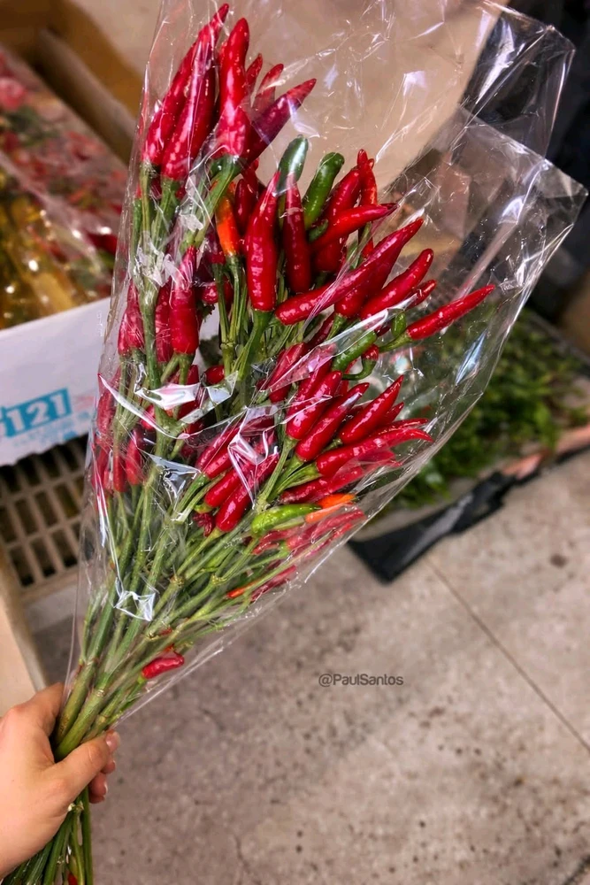 GIF uploaded by Kathkath